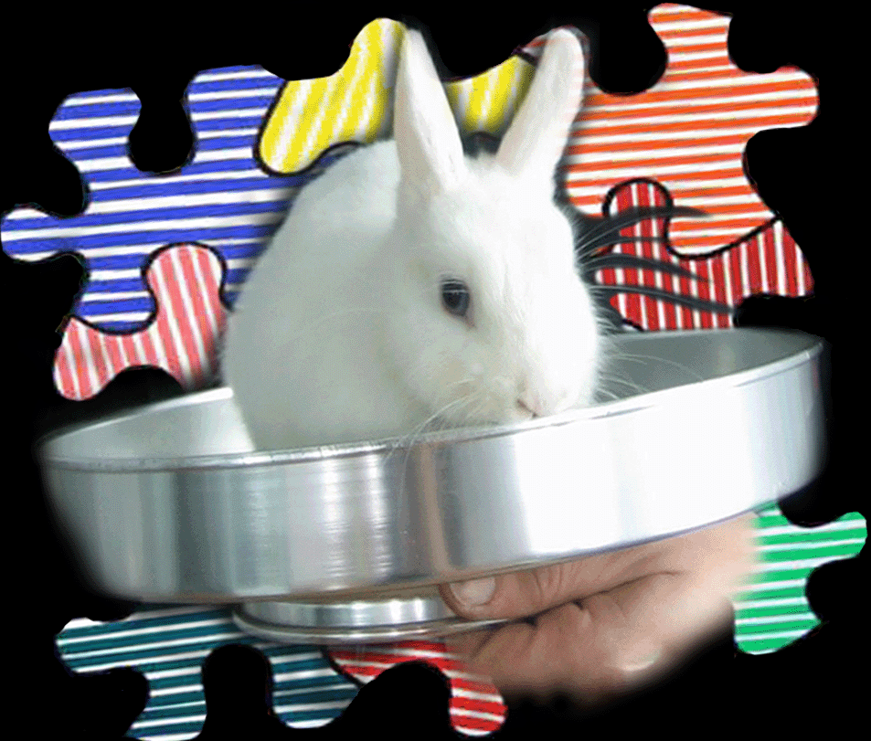 El conejo a la bandeja